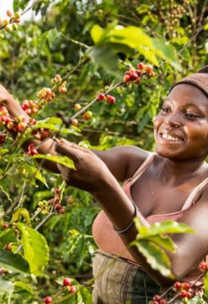 Agricultural development and rural empowerment